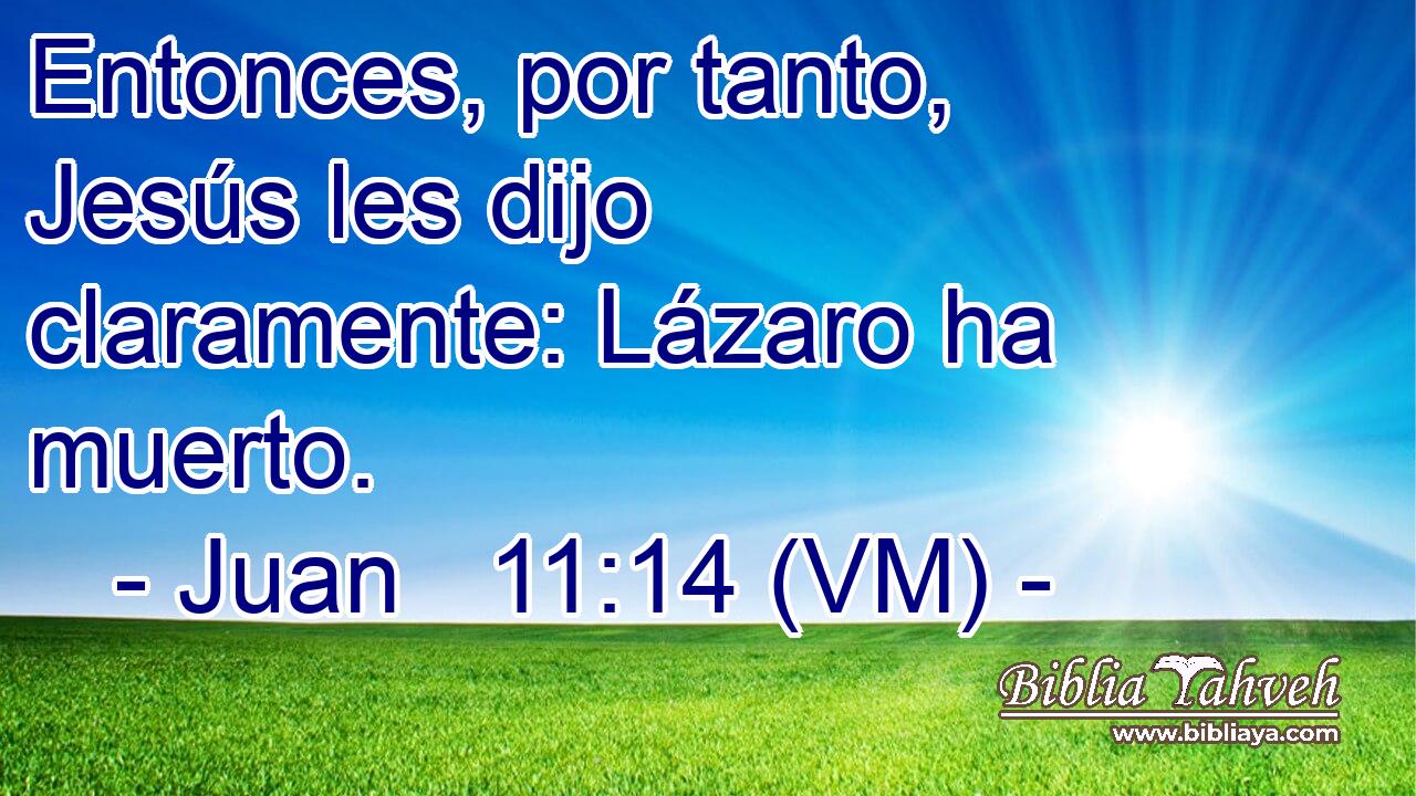  Entonces, por tanto, Jesús les dijo claramente: Lázaro ha muerto. 
