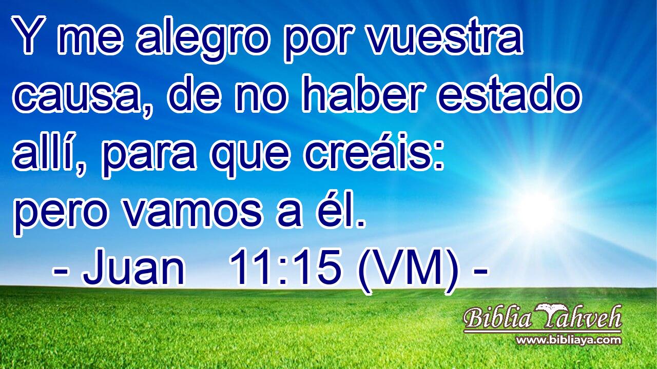  Y me alegro por vuestra causa, de no haber estado allí, para que creáis: pero vamos a él. 