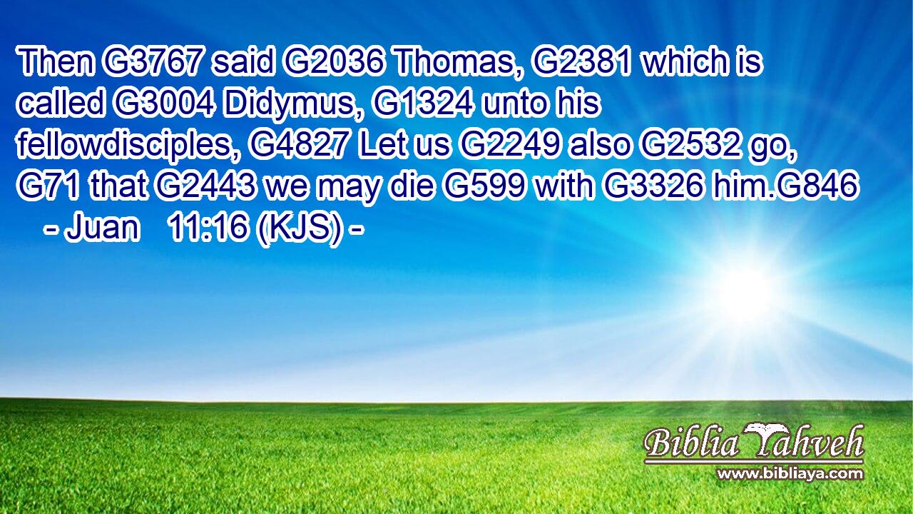 Then G3767 said G2036 Thomas, G2381 which is called G3004 Didymus, G1324 unto his fellowdisciples, G4827 Let us G2249 also G2532 go, G71 that G2443 we may die G599 with G3326 him.G846