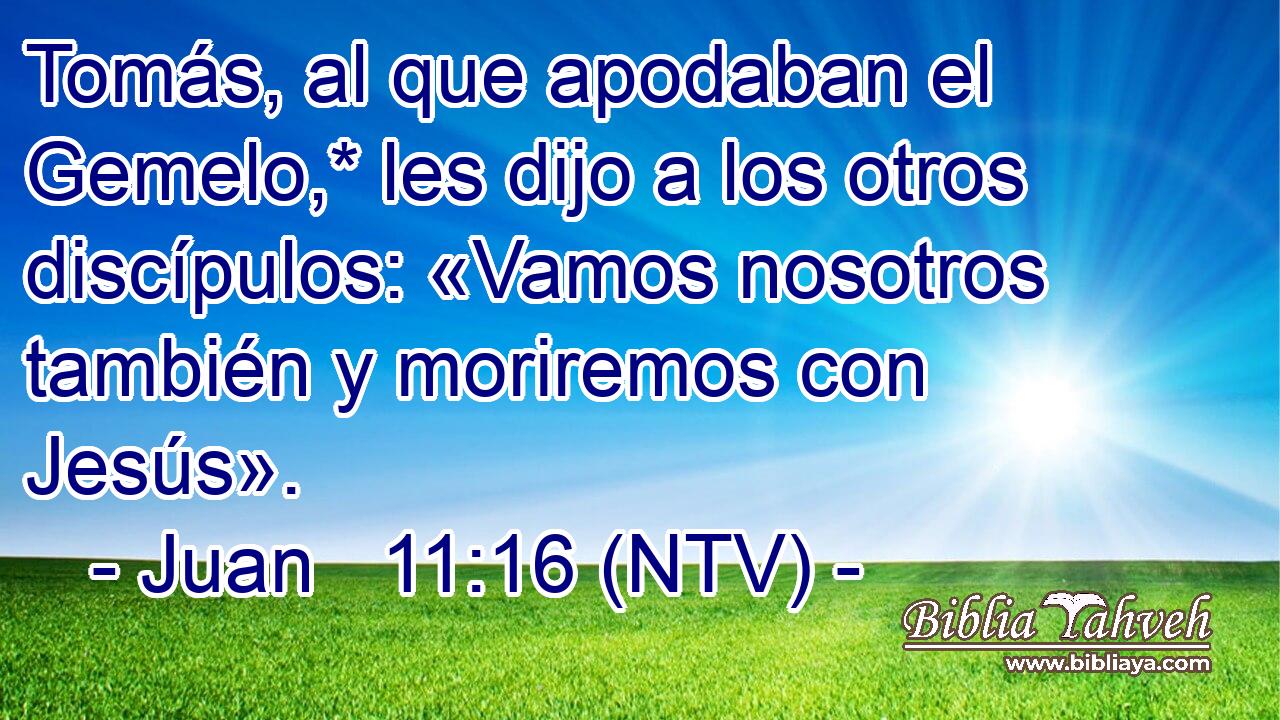 Tomás, al que apodaban el Gemelo,* les dijo a los otros discípulos: «Vamos nosotros también y moriremos con Jesús».