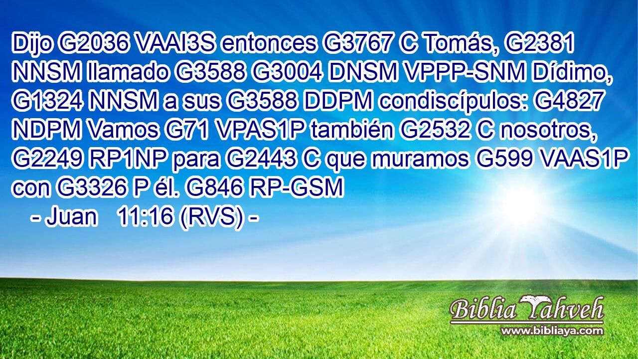 Dijo G2036 VAAI3S entonces G3767 C Tomás, G2381 NNSM llamado G3588 G3004 DNSM VPPP-SNM Dídimo, G1324 NNSM a sus G3588 DDPM condiscípulos: G4827 NDPM Vamos G71 VPAS1P también G2532 C nosotros, G2249 RP1NP para G2443 C que muramos G599 VAAS1P con G3326 P él. G846 RP-GSM 