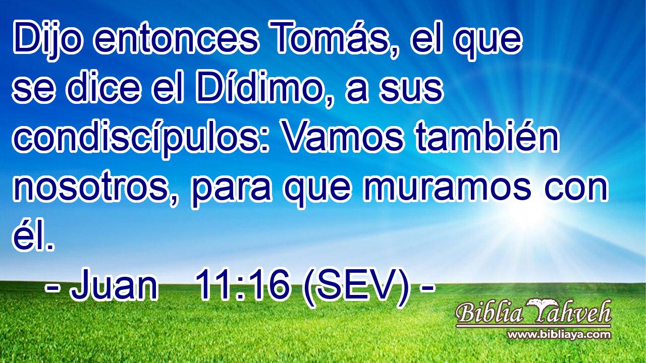 Dijo entonces Tomás, el que se dice el Dídimo, a sus condiscípulos: Vamos también nosotros, para que muramos con él.