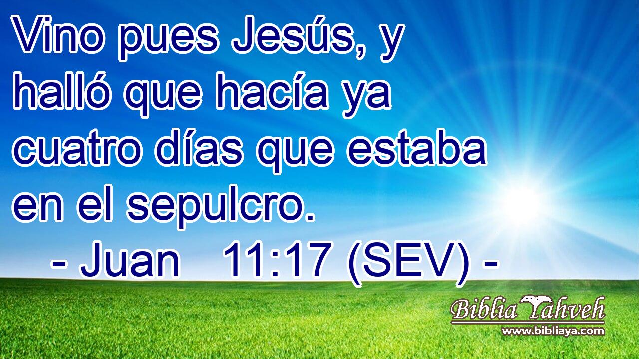 Vino pues Jesús, y halló que hacía ya cuatro días que estaba en el sepulcro.