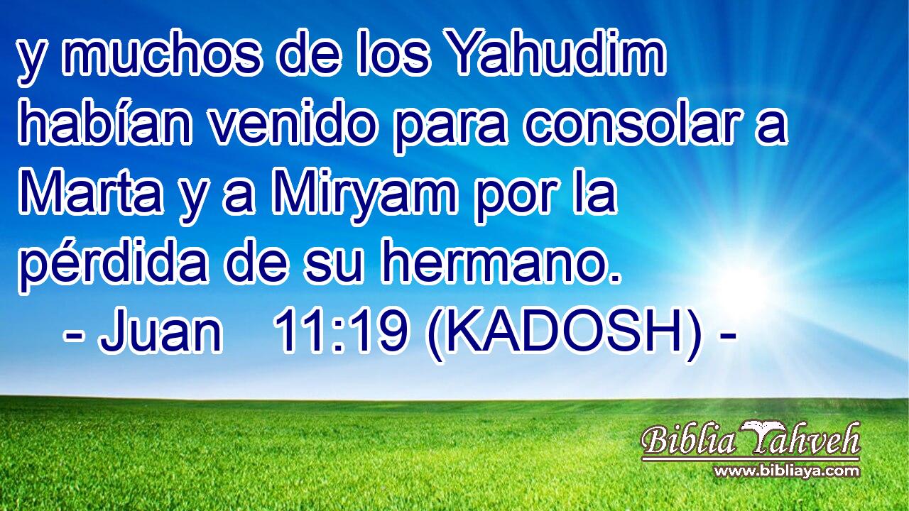  y muchos de los Yahudim habían venido para consolar a Marta y a Miryam por la pérdida de su hermano. 