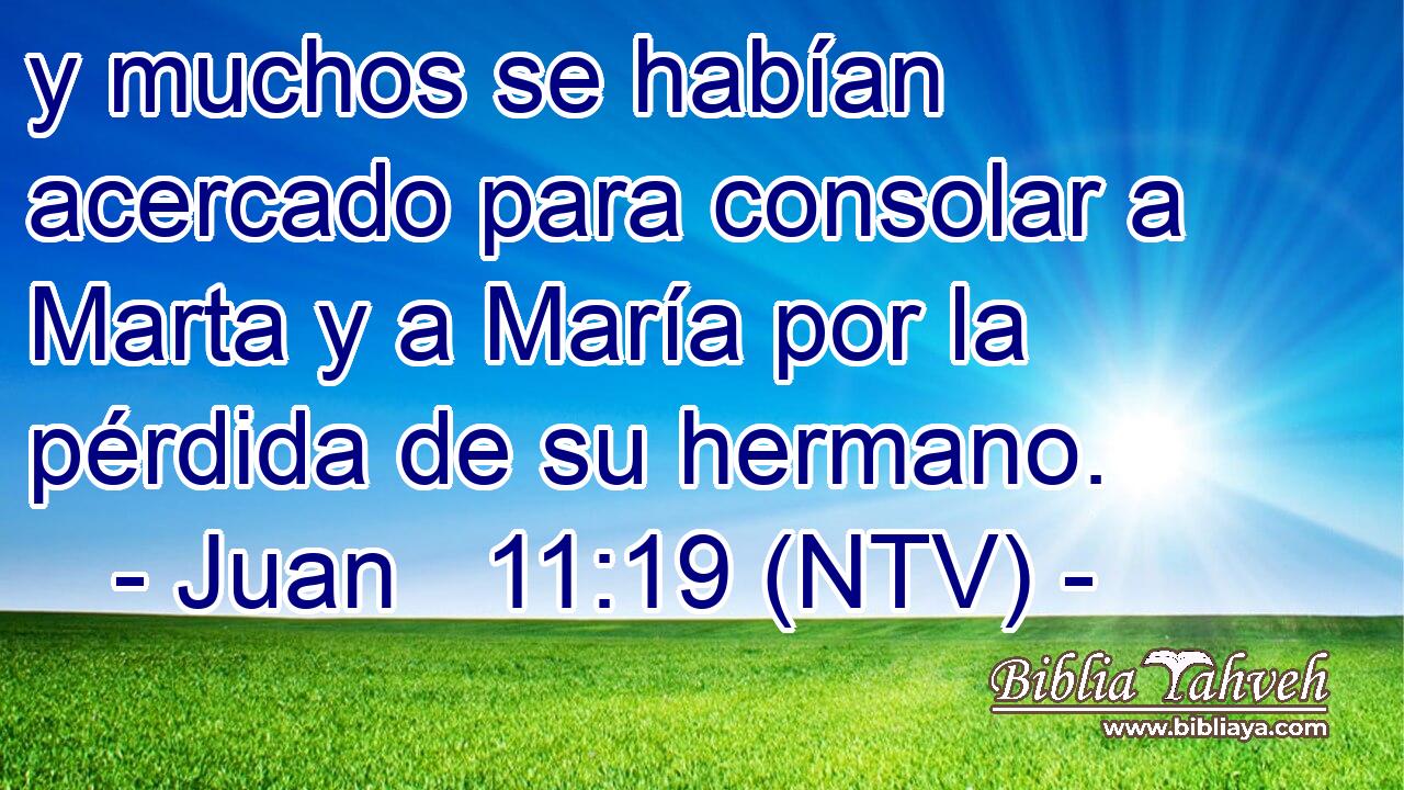 y muchos se habían acercado para consolar a Marta y a María por la pérdida de su hermano.