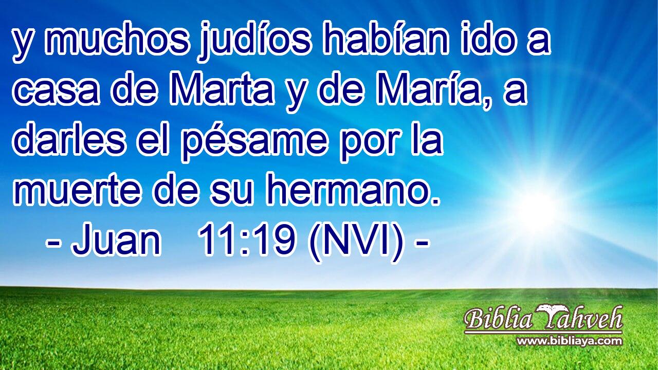  y muchos judíos habían ido a casa de Marta y de María, a darles el pésame por la muerte de su hermano. 