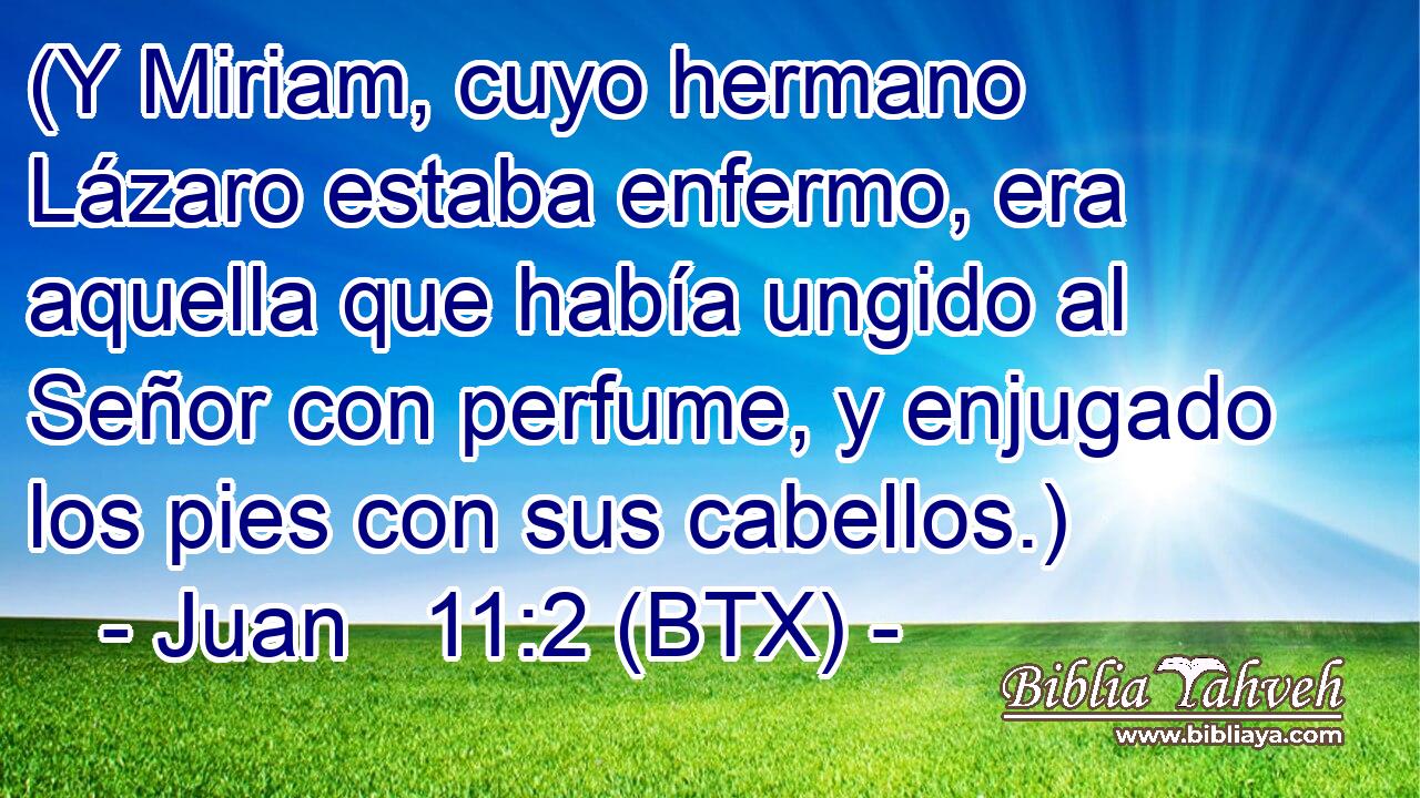 (Y Miriam, cuyo hermano Lázaro estaba enfermo, era aquella que había ungido al Señor con perfume, y enjugado los pies con sus cabellos.)