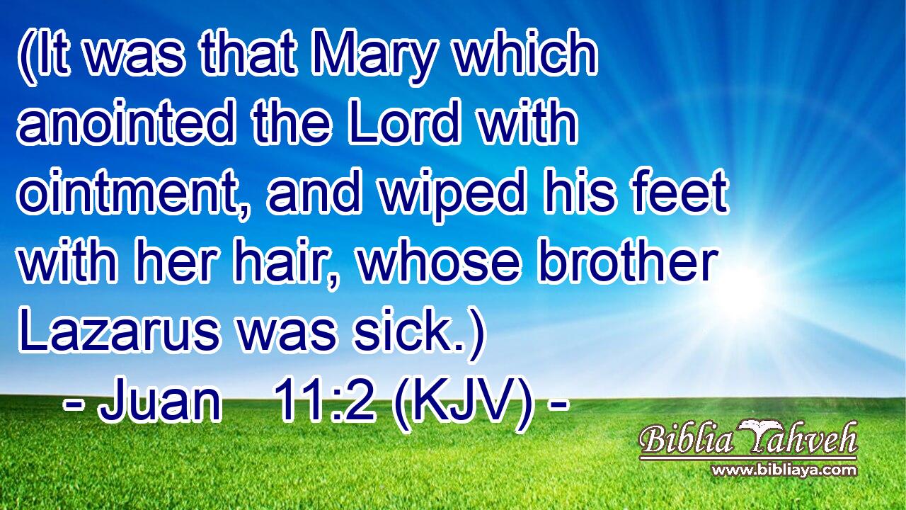 (It was that Mary which anointed the Lord with ointment, and wiped his feet with her hair, whose brother Lazarus was sick.)