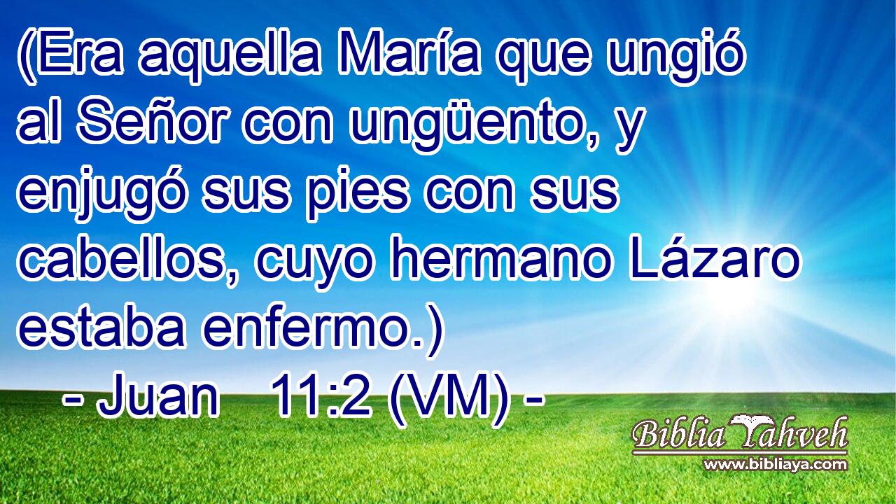  (Era aquella María que ungió al Señor con ungüento, y enjugó sus pies con sus cabellos, cuyo hermano Lázaro estaba enfermo.) 