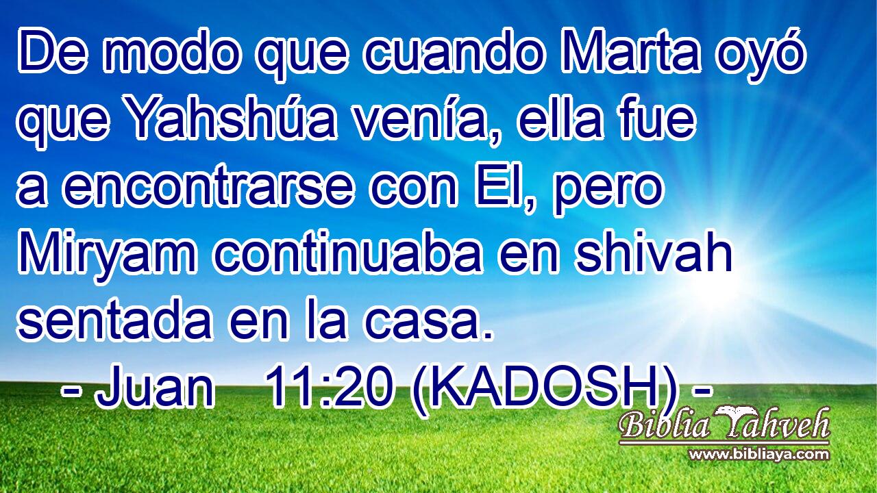  De modo que cuando Marta oyó que Yahshúa venía, ella fue a encontrarse con El, pero Miryam continuaba en shivah sentada en la casa. 