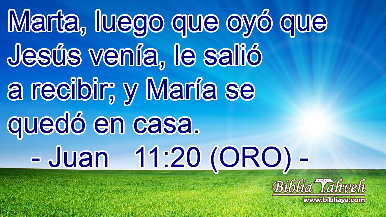  Marta, luego que oyó que Jesús venía, le salió a recibir; y María se quedó en casa. 