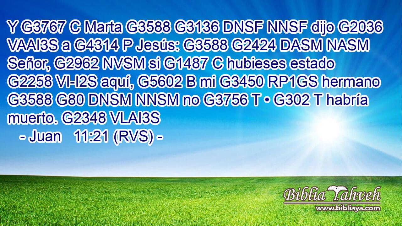 Y G3767 C Marta G3588 G3136 DNSF NNSF dijo G2036 VAAI3S a G4314 P Jesús: G3588 G2424 DASM NASM Señor, G2962 NVSM si G1487 C hubieses estado G2258 VI-I2S aquí, G5602 B mi G3450 RP1GS hermano G3588 G80 DNSM NNSM no G3756 T • G302 T habría muerto. G2348 VLAI3S 