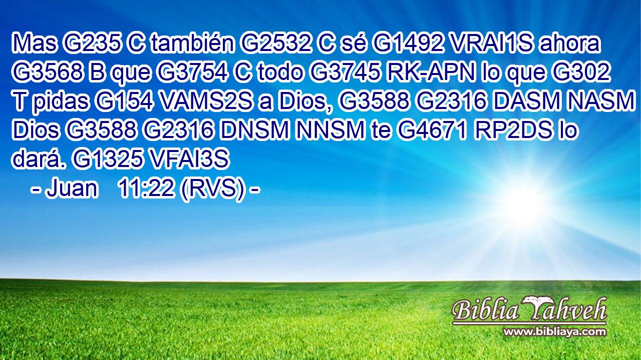 Mas G235 C también G2532 C sé G1492 VRAI1S ahora G3568 B que G3754 C todo G3745 RK-APN lo que G302 T pidas G154 VAMS2S a Dios, G3588 G2316 DASM NASM Dios G3588 G2316 DNSM NNSM te G4671 RP2DS lo dará. G1325 VFAI3S 