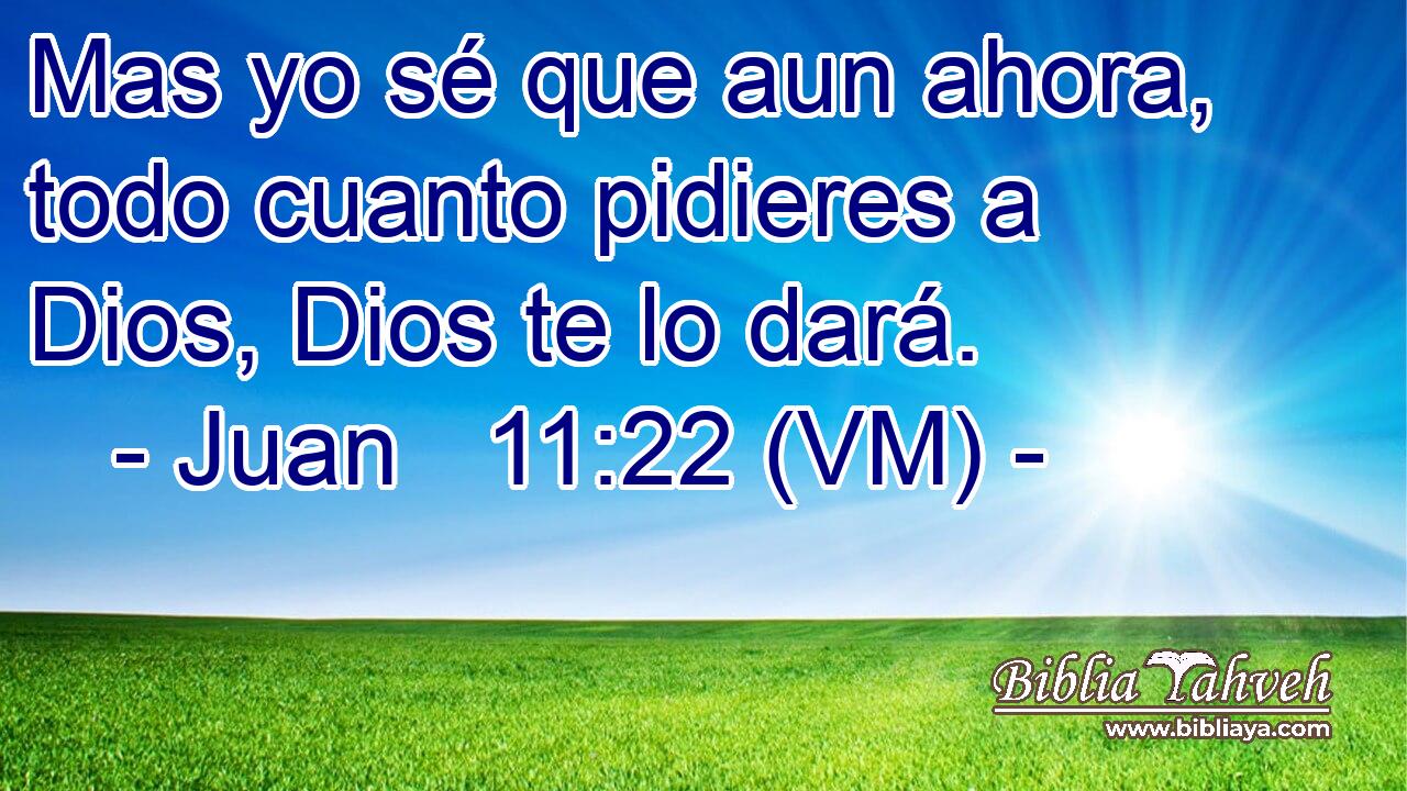  Mas yo sé que aun ahora, todo cuanto pidieres a Dios, Dios te lo dará. 