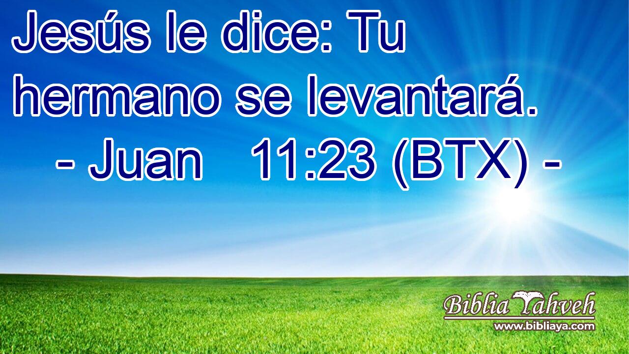 Jesús le dice: Tu hermano se levantará.