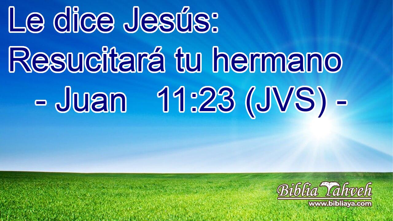 Le dice Jesús: Resucitará tu hermano