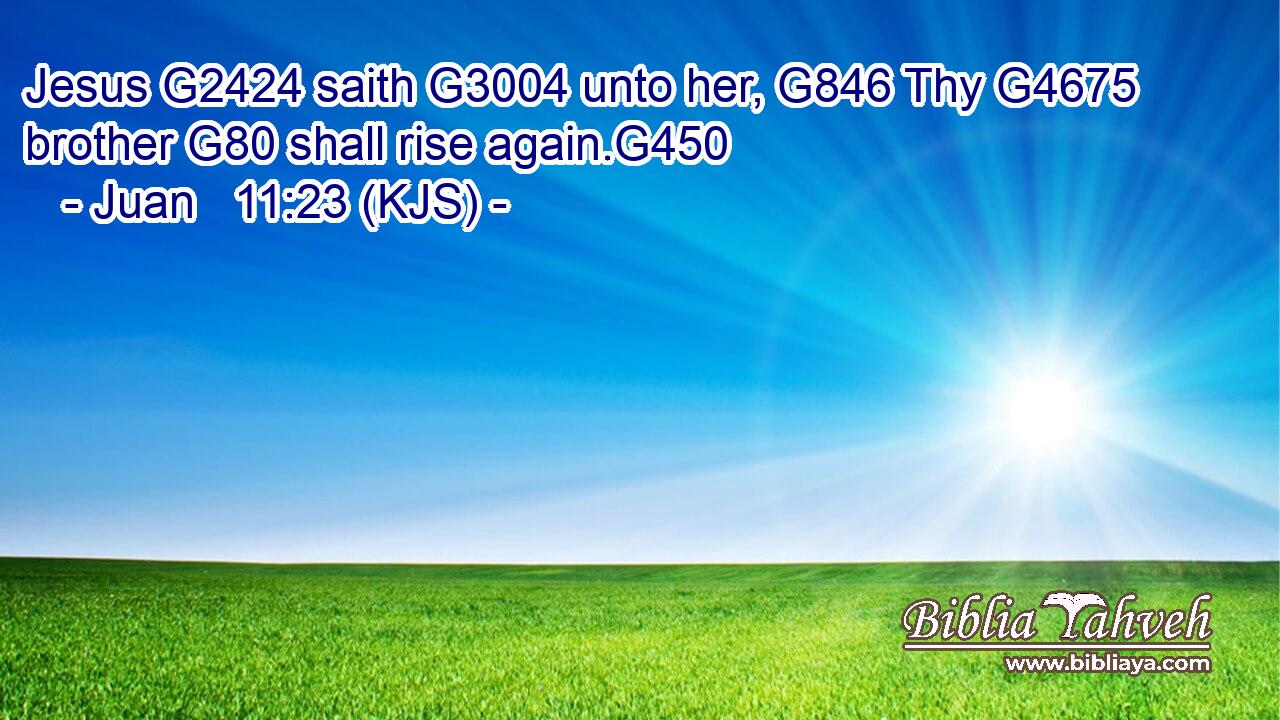 Jesus G2424 saith G3004 unto her, G846 Thy G4675 brother G80 shall rise again.G450