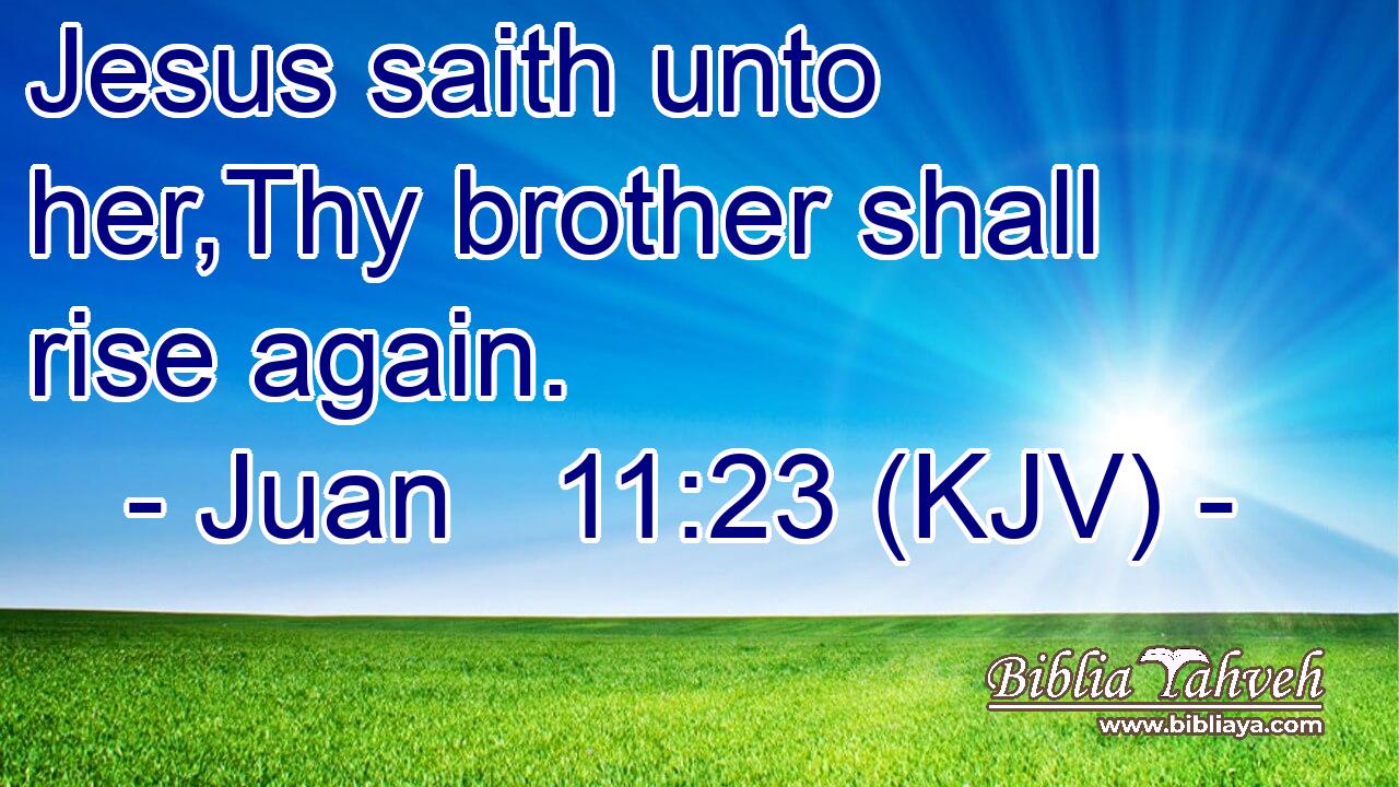 Jesus saith unto her,Thy brother shall rise again.