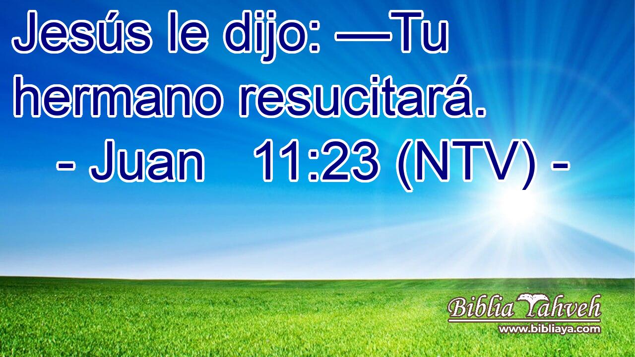 Jesús le dijo: —Tu hermano resucitará.