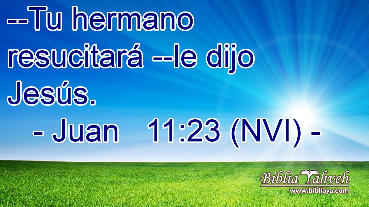  --Tu hermano resucitará --le dijo Jesús. 