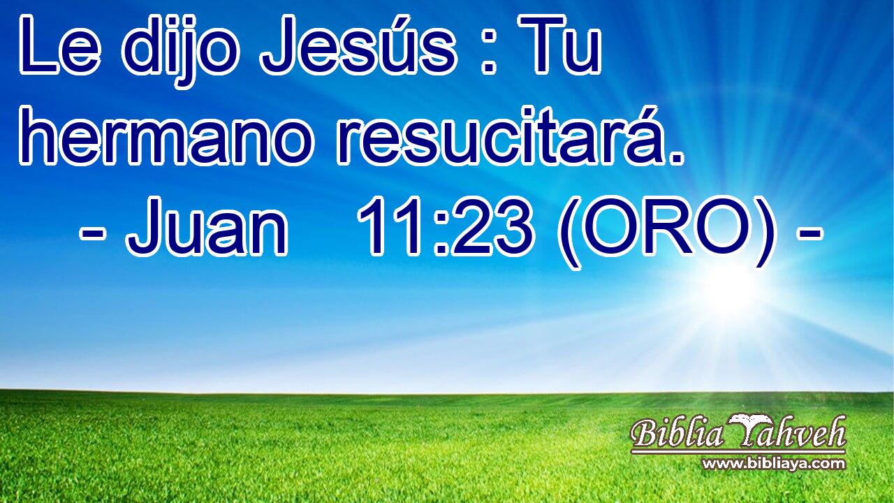  Le dijo Jesús : Tu hermano resucitará. 