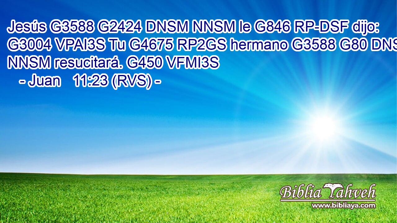 Jesús G3588 G2424 DNSM NNSM le G846 RP-DSF dijo: G3004 VPAI3S Tu G4675 RP2GS hermano G3588 G80 DNSM NNSM resucitará. G450 VFMI3S 