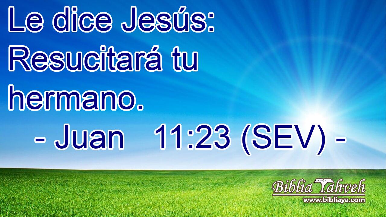 Le dice Jesús: Resucitará tu hermano.