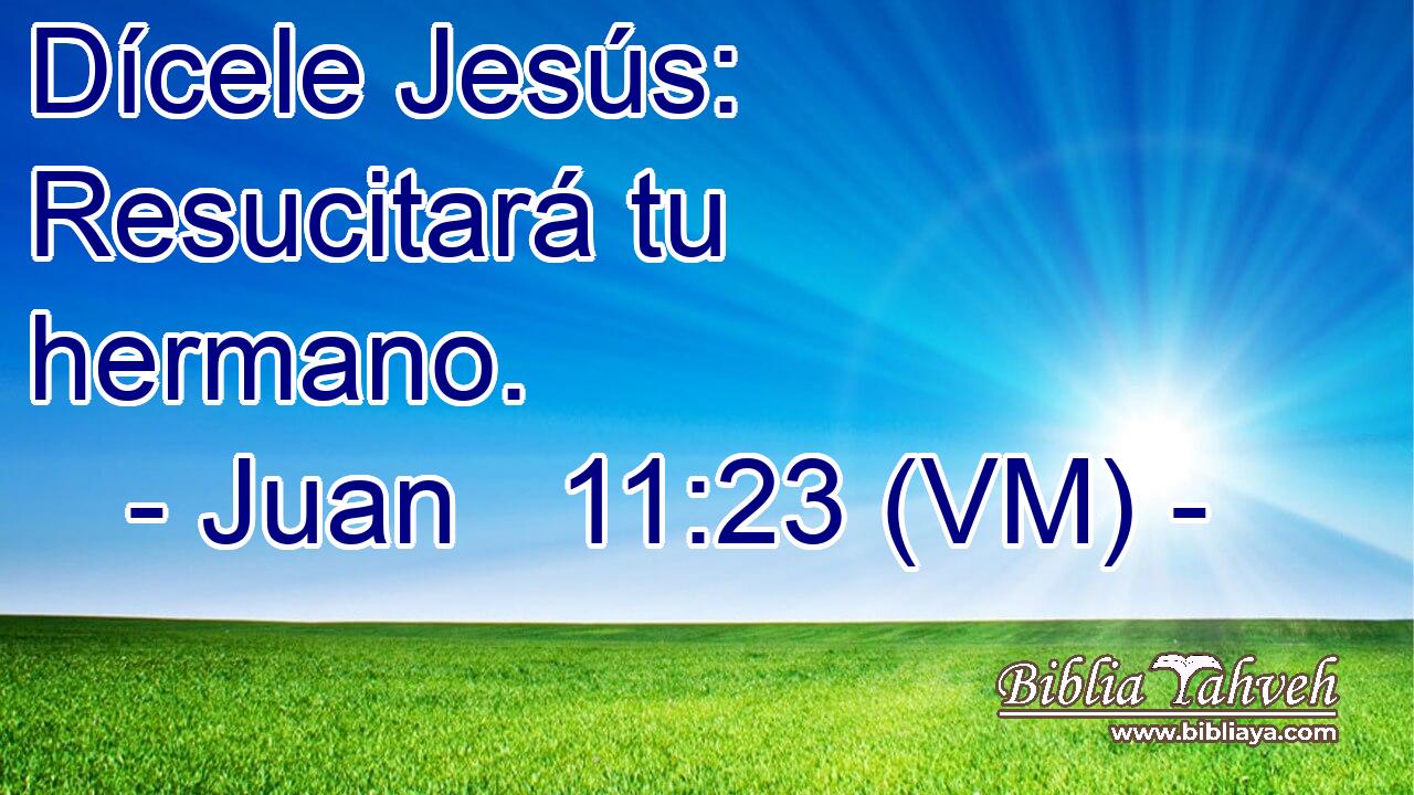  Dícele Jesús: Resucitará tu hermano. 