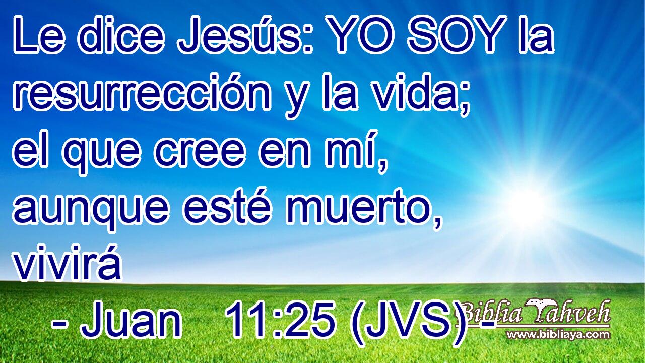 Le dice Jesús: YO SOY la resurrección y la vida; el que cree en mí, aunque esté muerto, vivirá