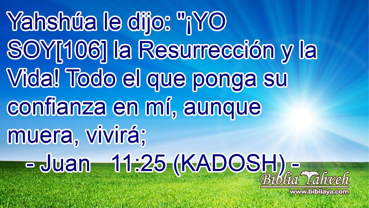  Yahshúa le dijo: 