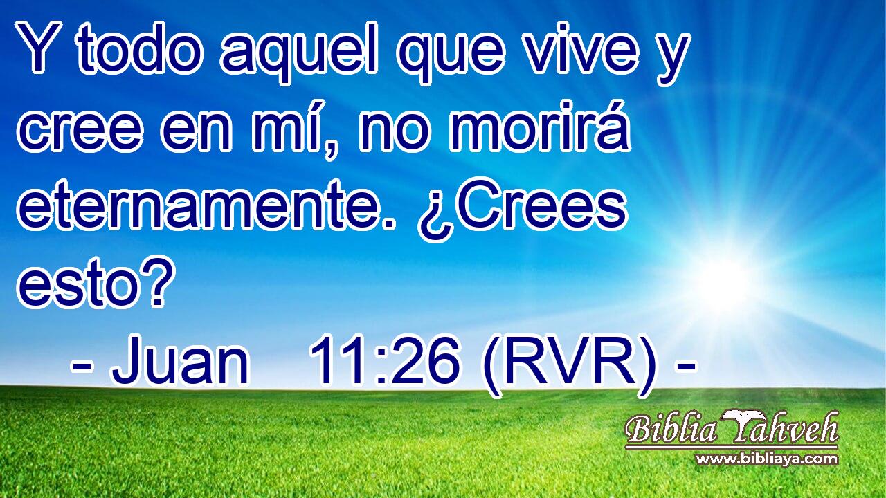 Y todo aquel que vive y cree en mí, no morirá eternamente. ¿Crees esto?
