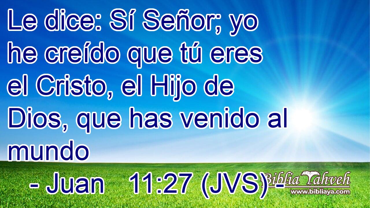 Le dice: Sí Señor; yo he creído que tú eres el Cristo, el Hijo de Dios, que has venido al mundo