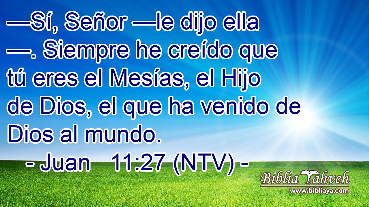 —Sí, Señor —le dijo ella —. Siempre he creído que tú eres el Mesías, el Hijo de Dios, el que ha venido de Dios al mundo.