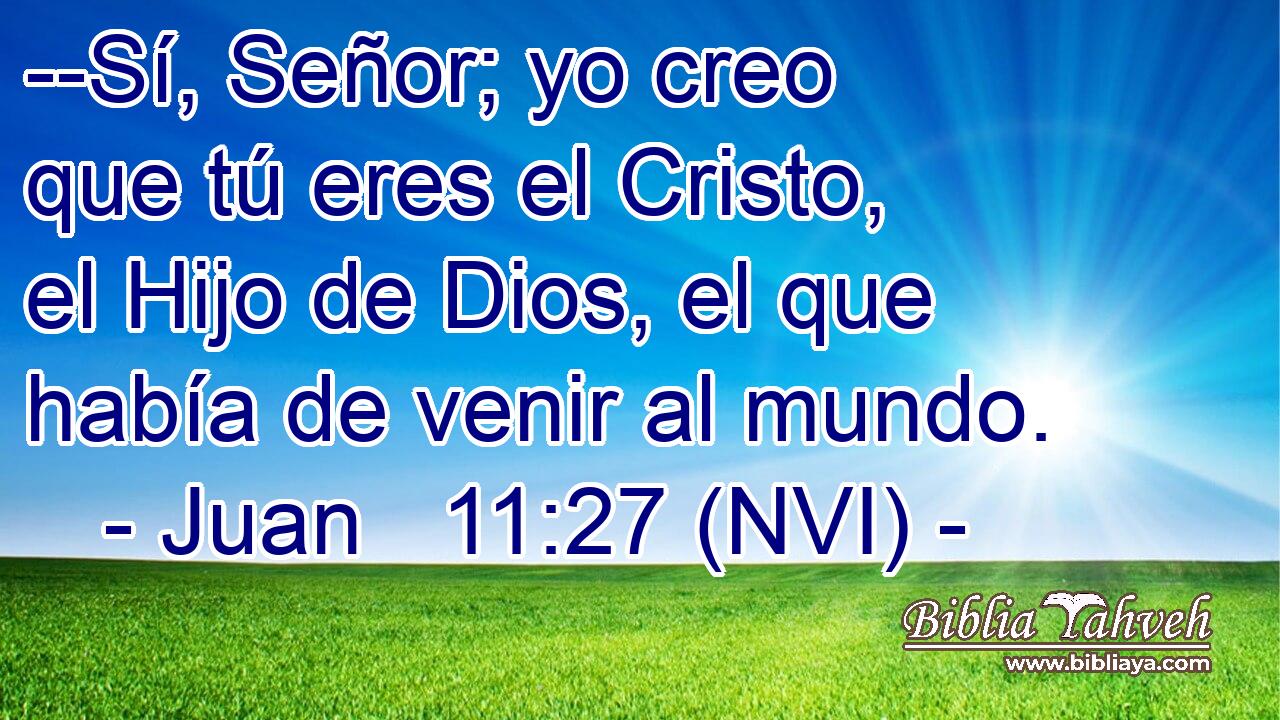  --Sí, Señor; yo creo que tú eres el Cristo, el Hijo de Dios, el que había de venir al mundo. 