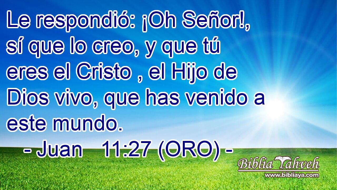  Le respondió: ¡Oh Señor!, sí que lo creo, y que tú eres el Cristo , el Hijo de Dios vivo, que has venido a este mundo. 
