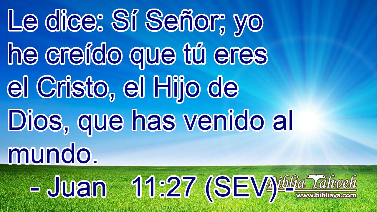 Le dice: Sí Señor; yo he creído que tú eres el Cristo, el Hijo de Dios, que has venido al mundo.