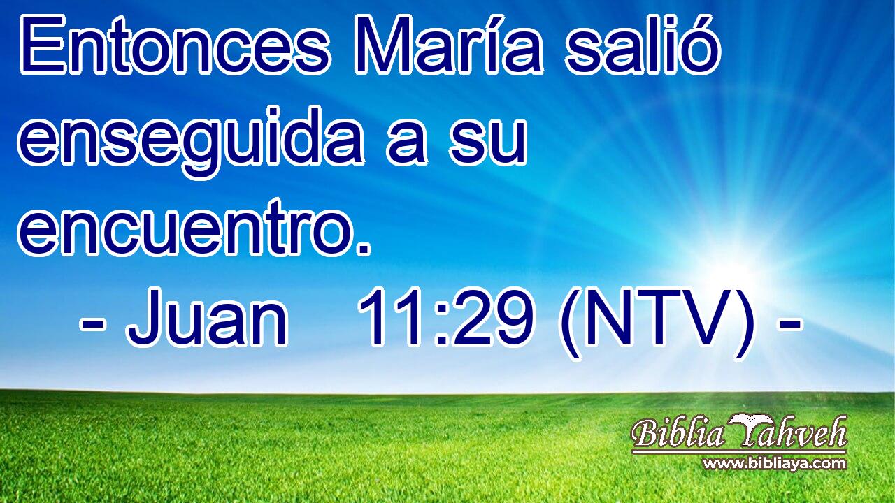 Entonces María salió enseguida a su encuentro.