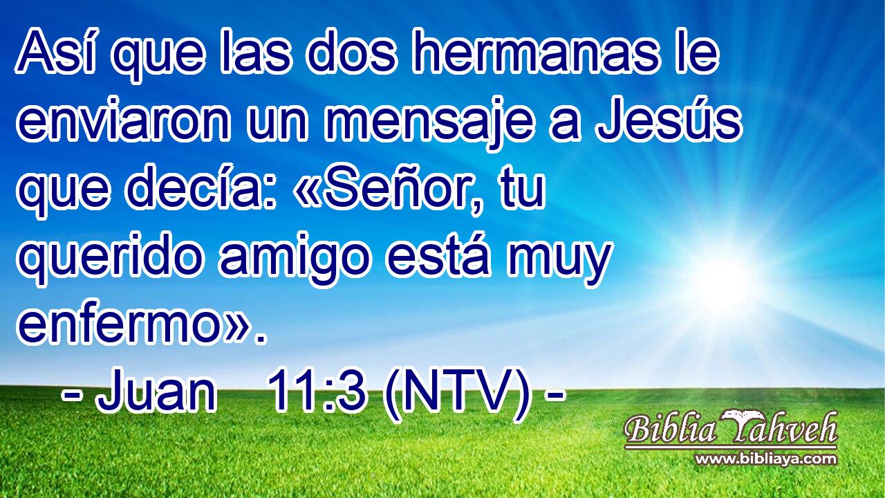 Así que las dos hermanas le enviaron un mensaje a Jesús que decía: «Señor, tu querido amigo está muy enfermo».
