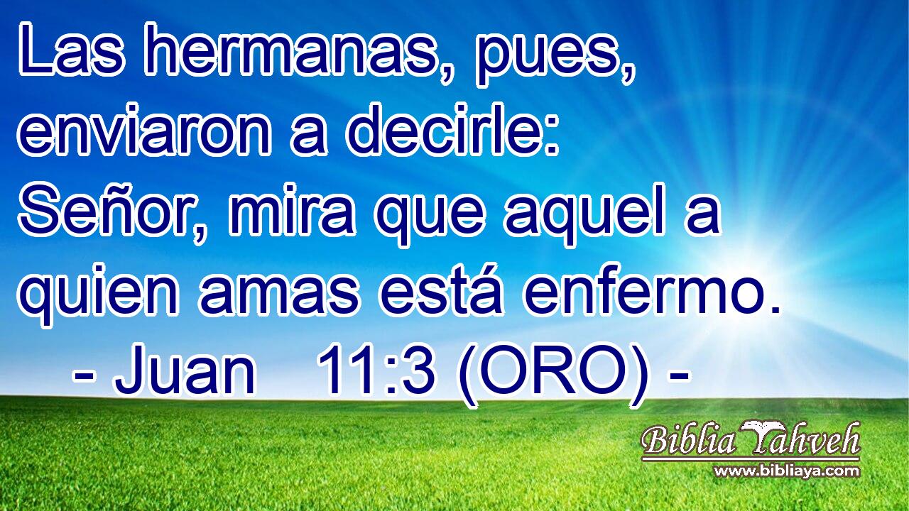  Las hermanas, pues, enviaron a decirle: Señor, mira que aquel a quien amas está enfermo. 