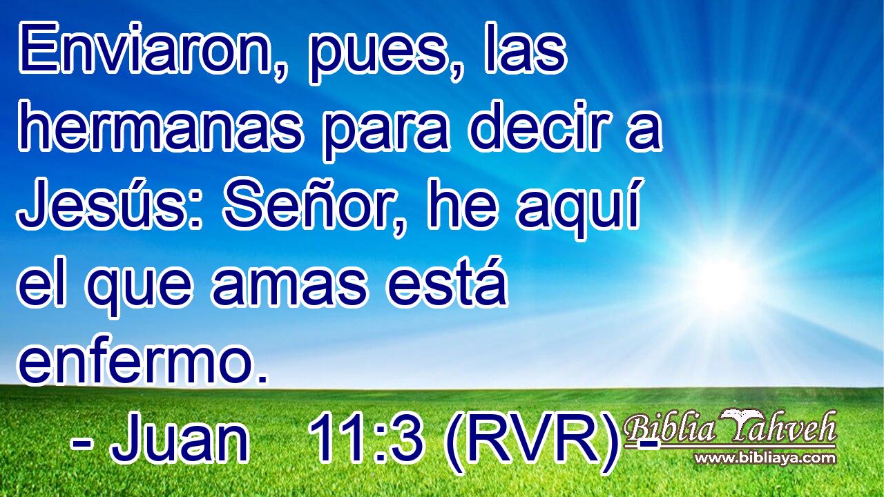 Enviaron, pues, las hermanas para decir a Jesús: Señor, he aquí el que amas está enfermo.