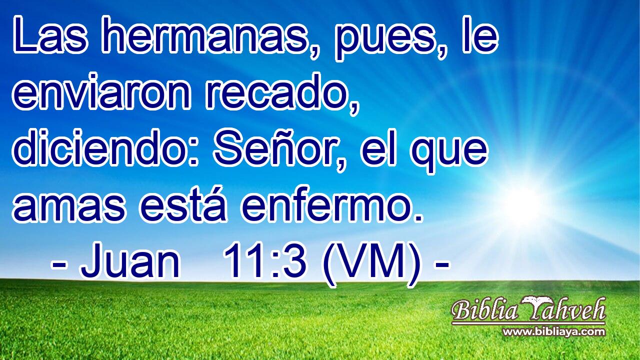  Las hermanas, pues, le enviaron recado, diciendo: Señor, el que amas está enfermo. 