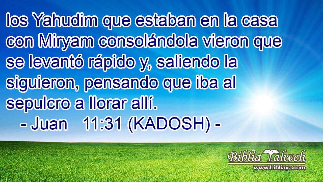  los Yahudim que estaban en la casa con Miryam consolándola vieron que se levantó rápido y, saliendo la siguieron, pensando que iba al sepulcro a llorar allí. 