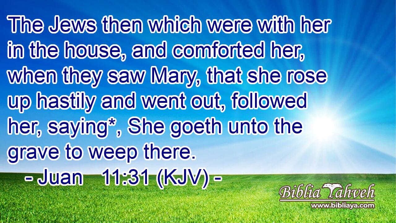 The Jews then which were with her in the house, and comforted her, when they saw Mary, that she rose up hastily and went out, followed her, saying*, She goeth unto the grave to weep there.