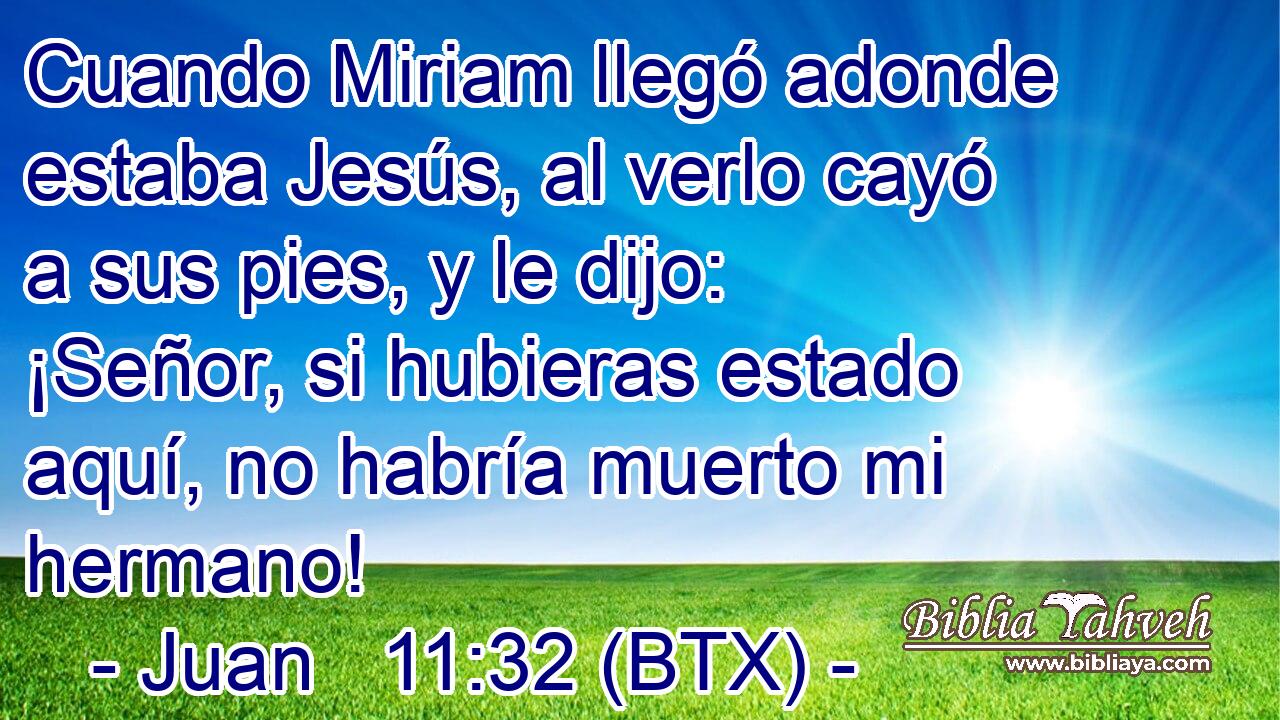 Cuando Miriam llegó adonde estaba Jesús, al verlo cayó a sus pies, y le dijo: ¡Señor, si hubieras estado aquí, no habría muerto mi hermano!