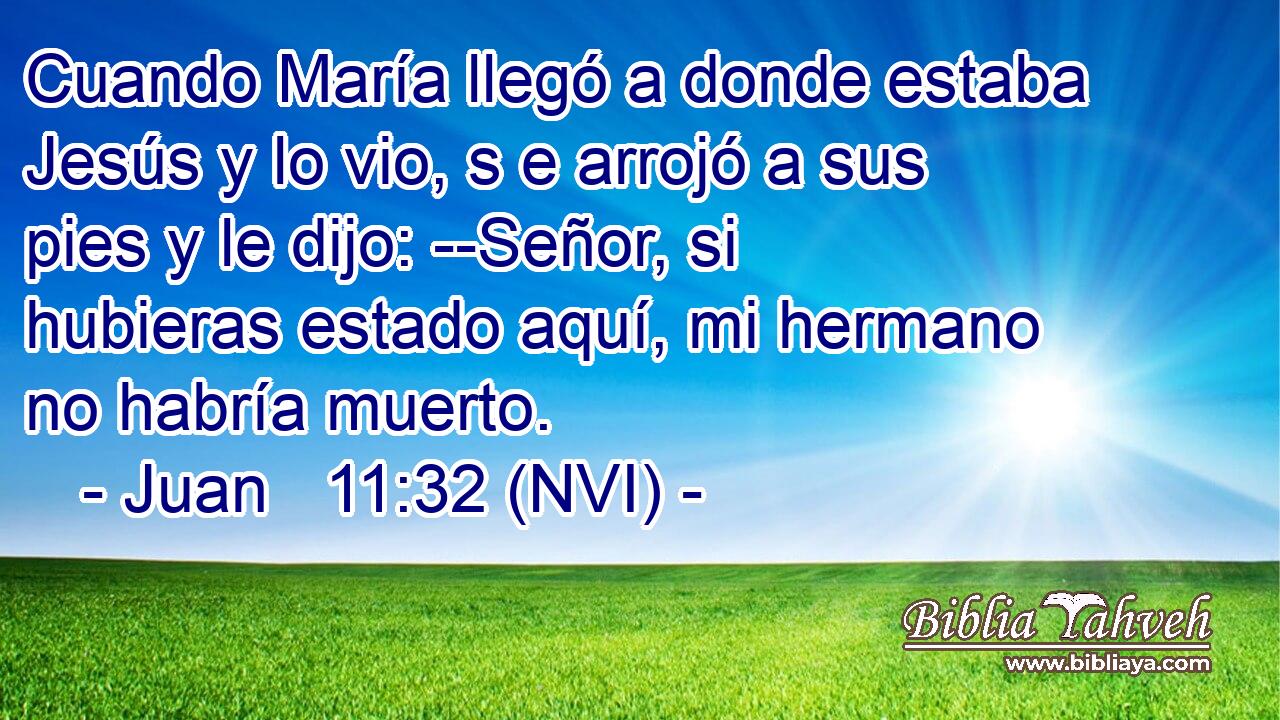  Cuando María llegó a donde estaba Jesús y lo vio, s e arrojó a sus pies y le dijo: --Señor, si hubieras estado aquí, mi hermano no habría muerto. 