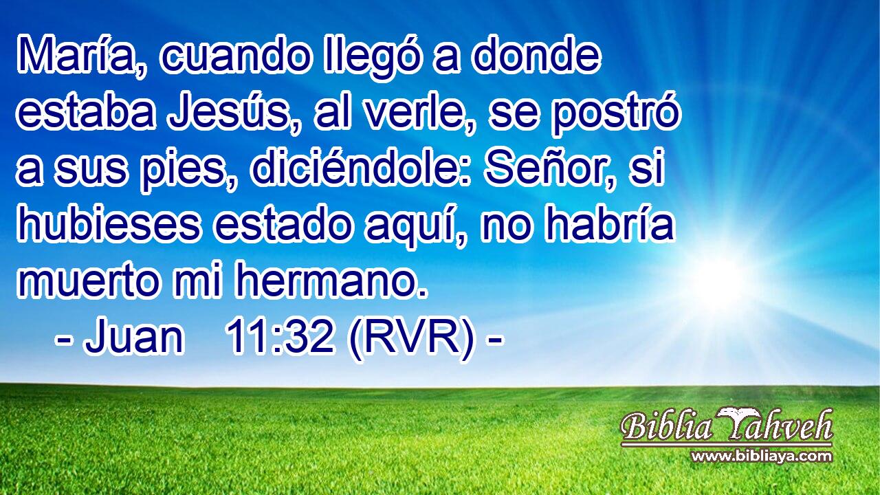 María, cuando llegó a donde estaba Jesús, al verle, se postró a sus pies, diciéndole: Señor, si hubieses estado aquí, no habría muerto mi hermano.