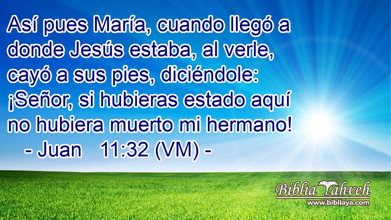  Así pues María, cuando llegó a donde Jesús estaba, al verle, cayó a sus pies, diciéndole: ¡Señor, si hubieras estado aquí no hubiera muerto mi hermano! 