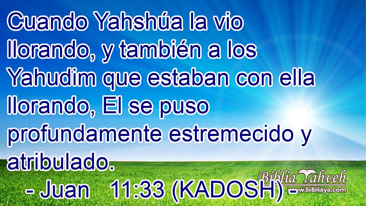  Cuando Yahshúa la vio llorando, y también a los Yahudim que estaban con ella llorando, El se puso profundamente estremecido y atribulado. 