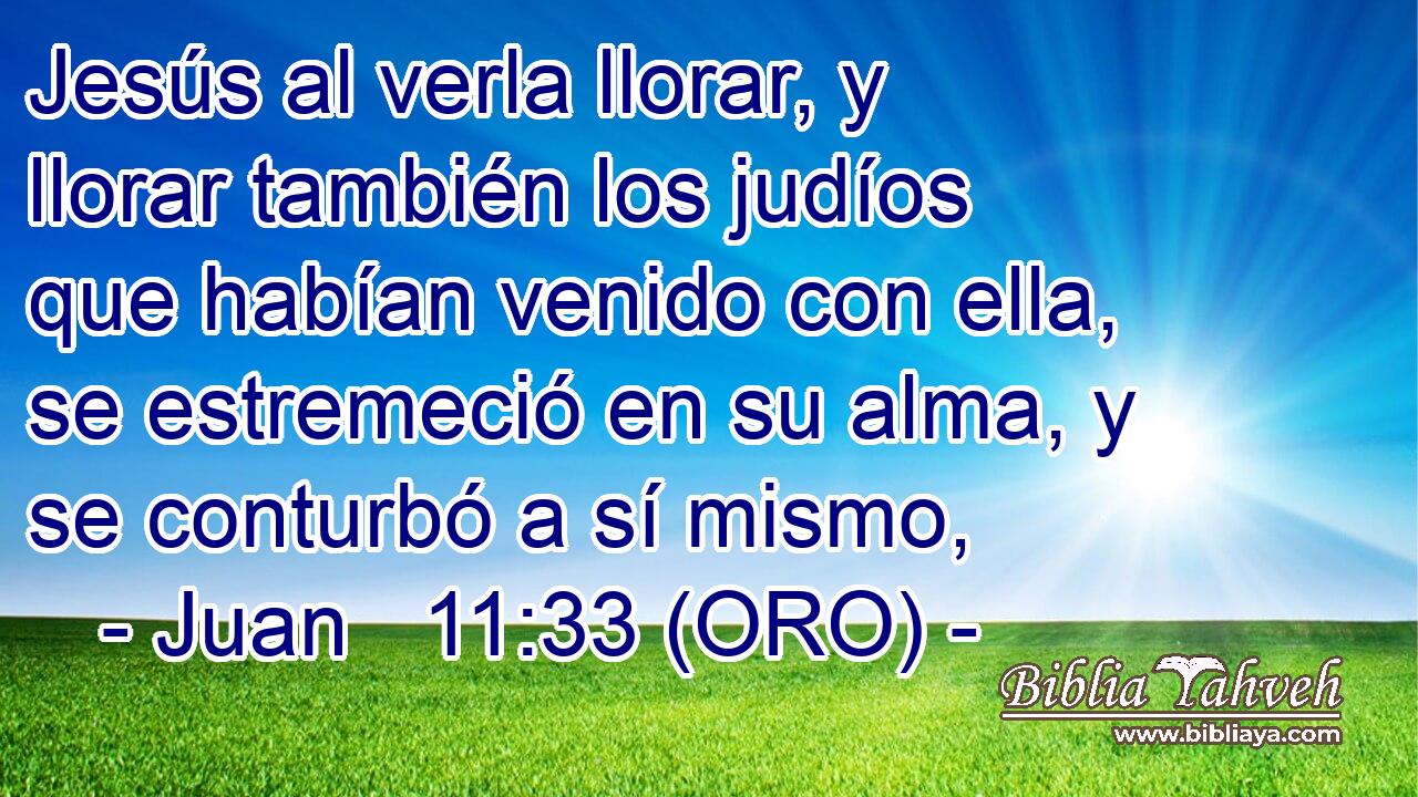  Jesús al verla llorar, y llorar también los judíos que habían venido con ella, se estremeció en su alma, y se conturbó a sí mismo, 