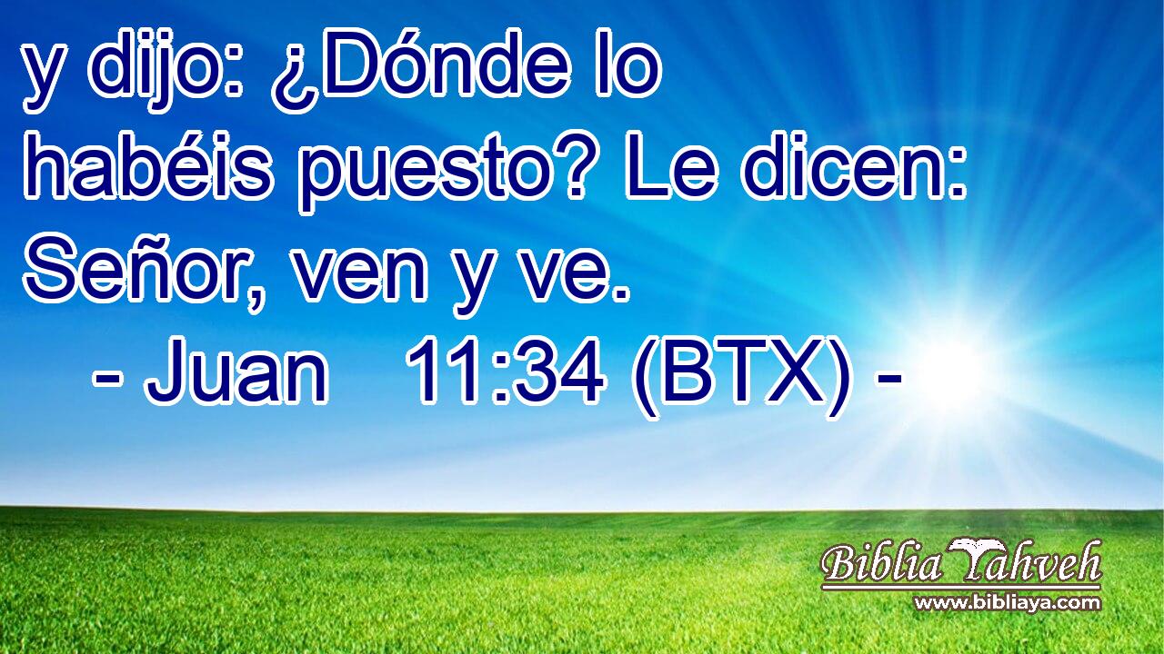 y dijo: ¿Dónde lo habéis puesto? Le dicen: Señor, ven y ve.
